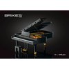 27-222.155_Brixies Plus_piano (2a).jpg