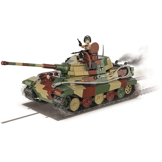 10-COBI-3113 (1).jpg